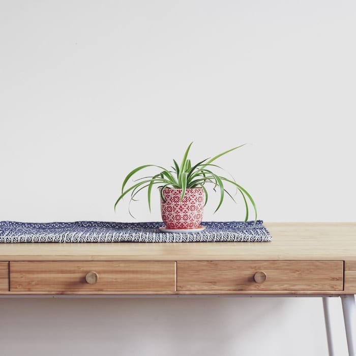 Hanging planter